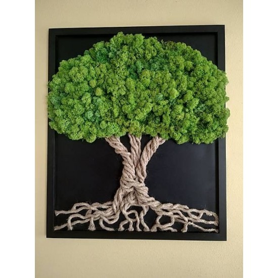 Art dekor Ağac divar yosunu